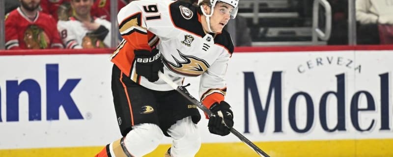 Ducks&#39; rookie No. 2 pick Leo Carlsson out 4-6 weeks