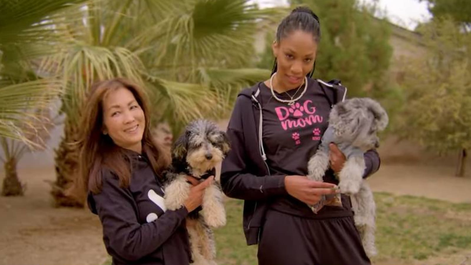 WNBA star A'ja Wilson shows off her Aussiepoo puppies in new "Meet the Pets" episode