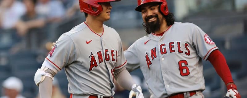 La angels top
