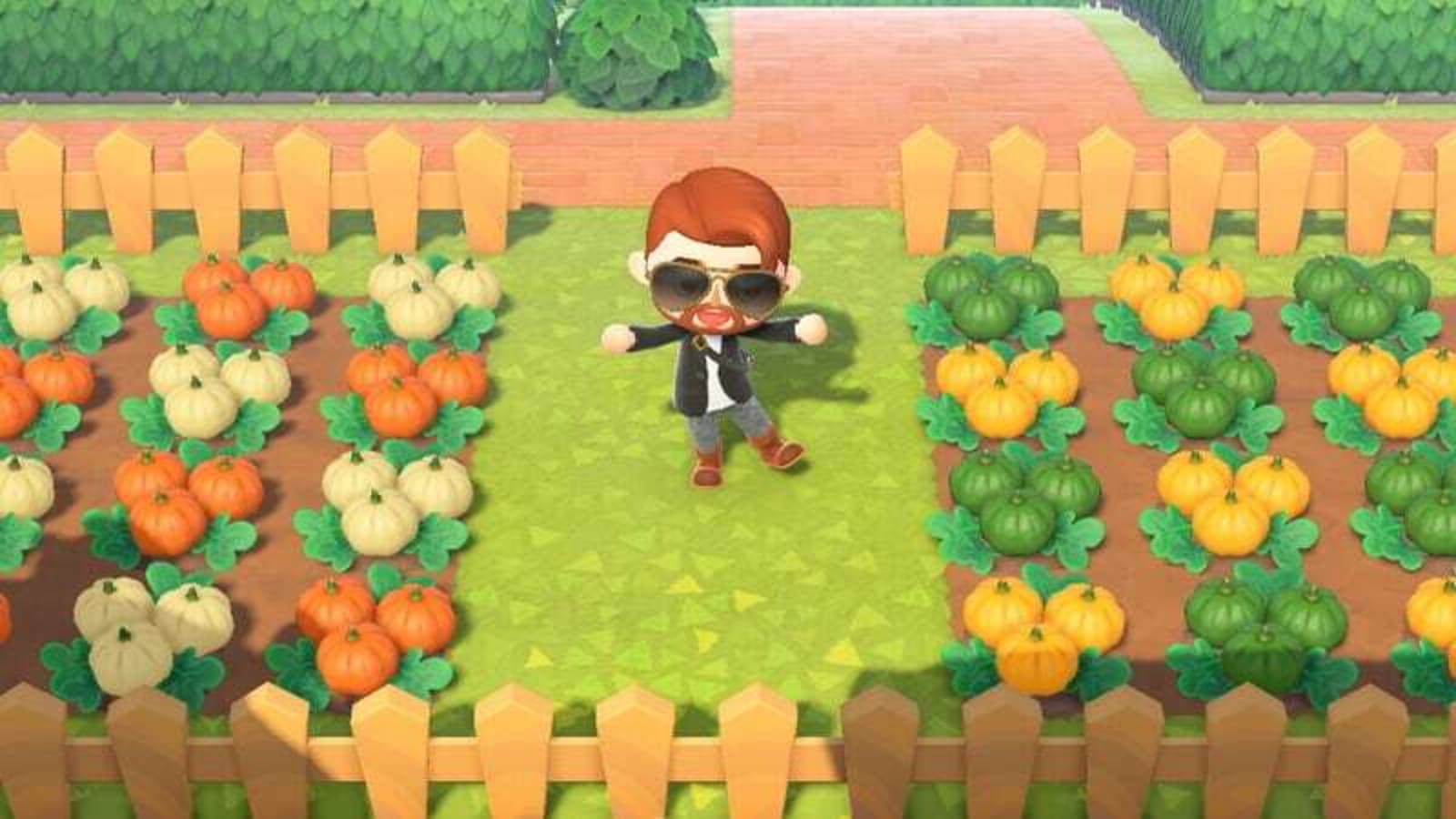 How to Carve Spooky Pumpkins in Animal Crossing 2024