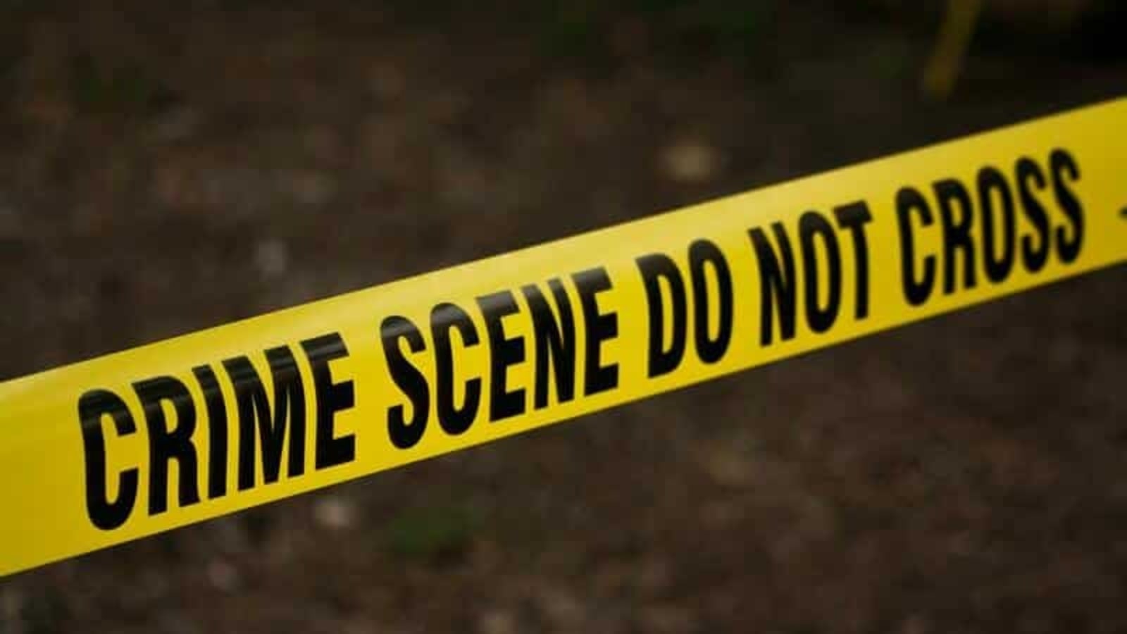 Crime Series on Streaming Platforms: Whodunits to Heists