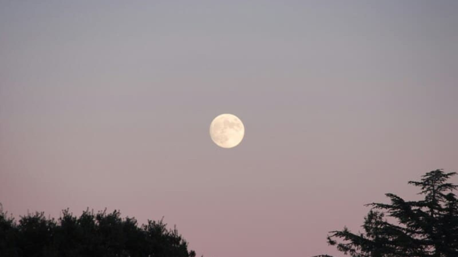 Capturing the Pink Moon: A Celestial Phenomenon