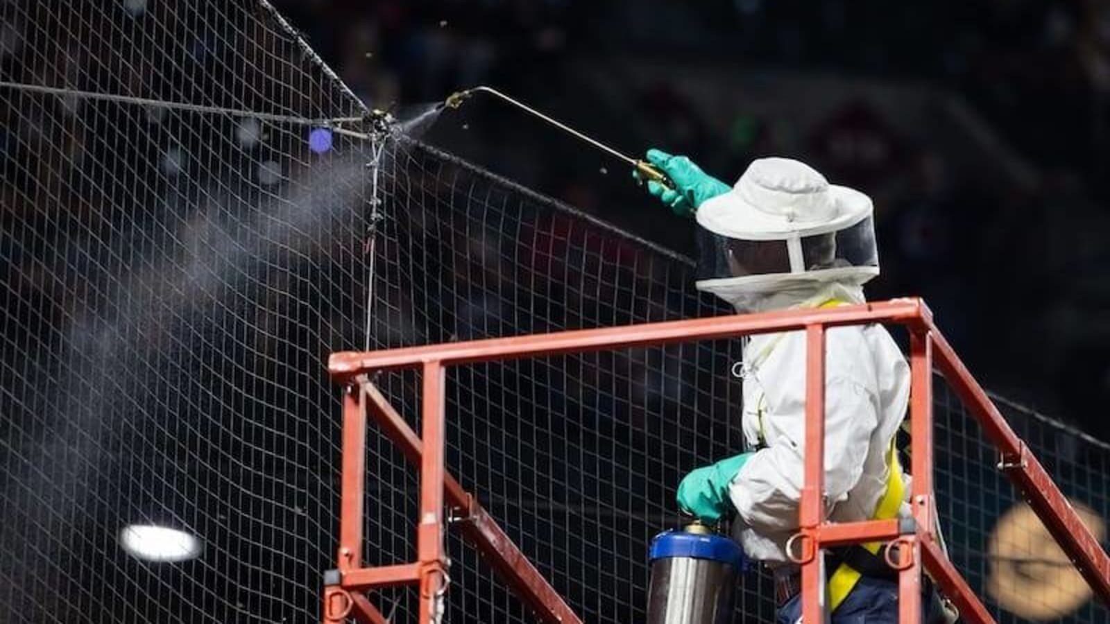 Matt Hilton Details Removing Bees From Chase Field To Prevent Dodgers-Diamondbacks Game From Being Postponed