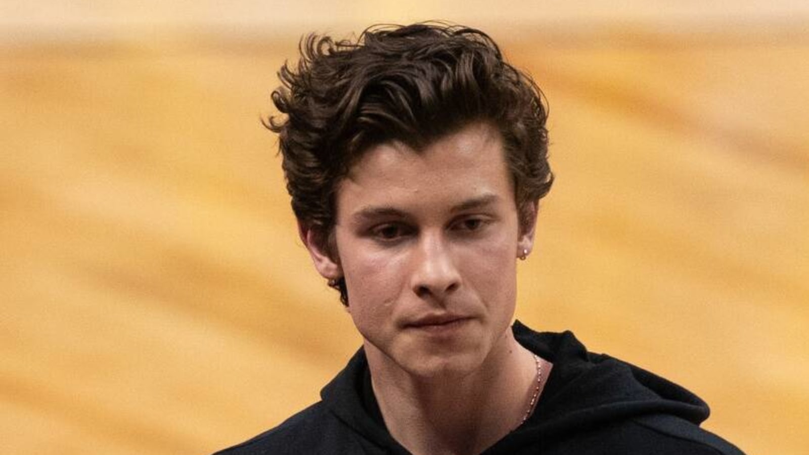 Report: Shawn Mendes to star in 'Lyle, Lyle, Crocodile' adaptation