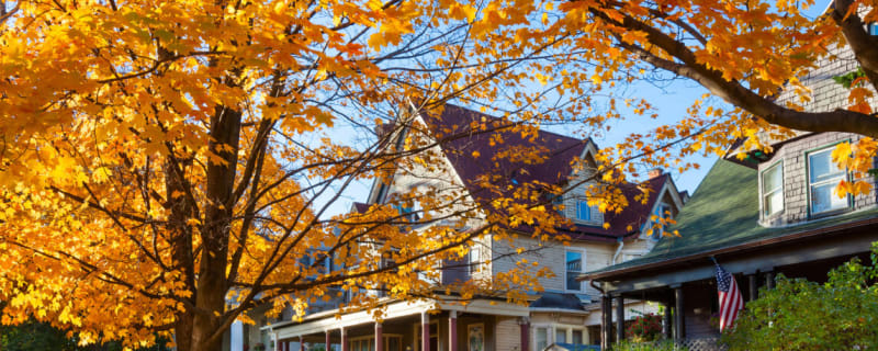 Do You Really Need to Aerate Your Lawn in the Fall?