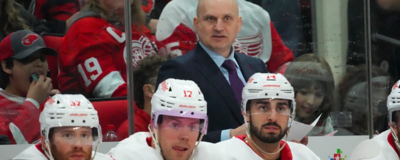 Former Red Wings Coach Derek Lalonde Issues Statement After Firing