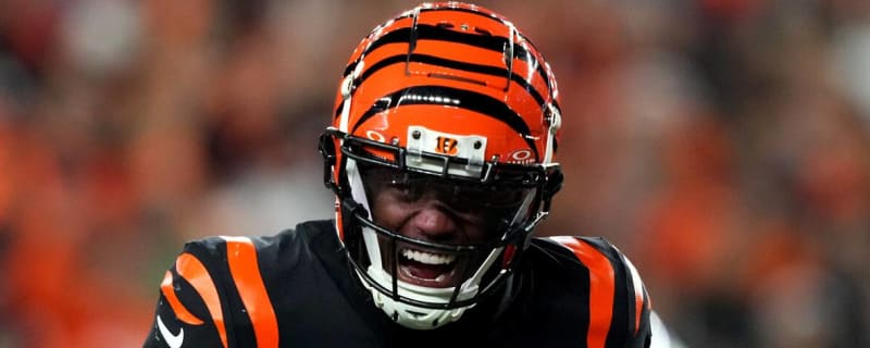 Bengals WR has doubts about whether Tee Higgins will return