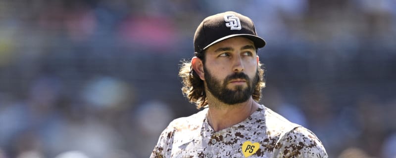 Padres designate reliever Austin Davis for assignment