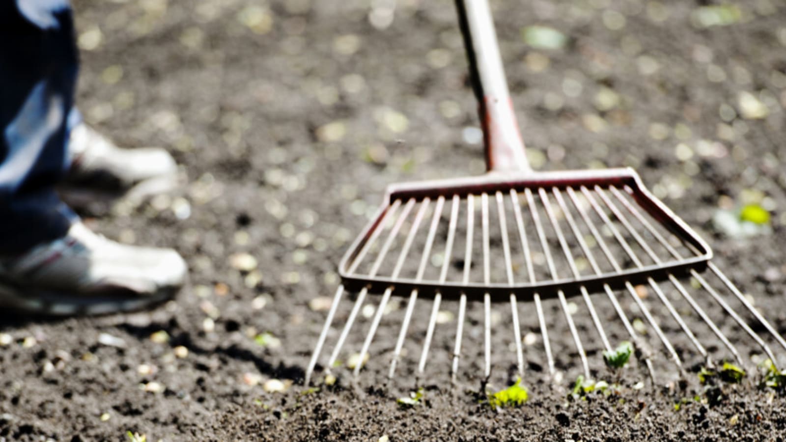 Is It Too Late to Plant Grass Seed in October?