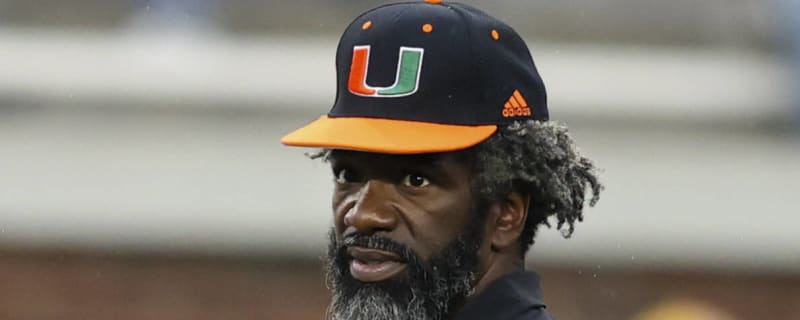 LeBron James believes Ed Reed is the best safety