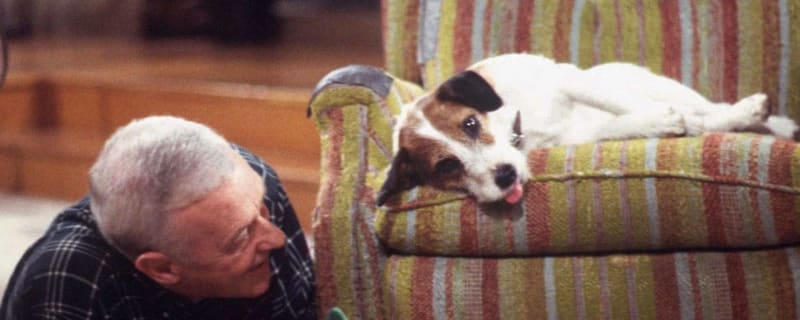 The 25 most memorable TV pets