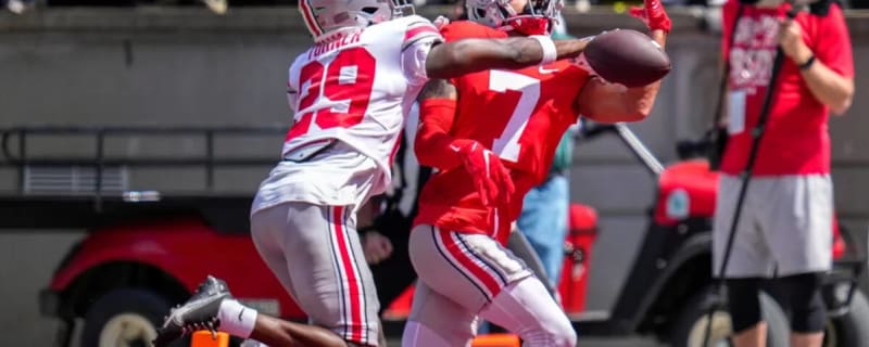 Ohio State wide receiver transfer lands out west after leaving the Buckeyes