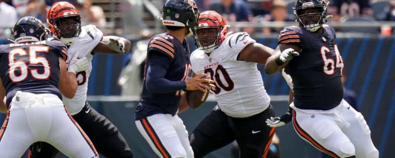 Matt Lee, Kris Jenkins Jr. among Bengals who raised their stock after preseason matchup vs Bears