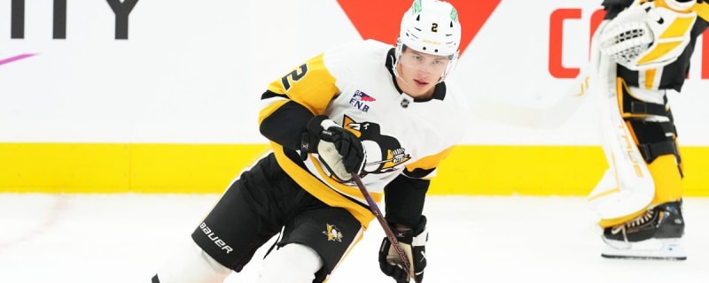 Penguins’ Rutger McGroarty, Tommy Novak among players ruled out for remainder of 2024-25