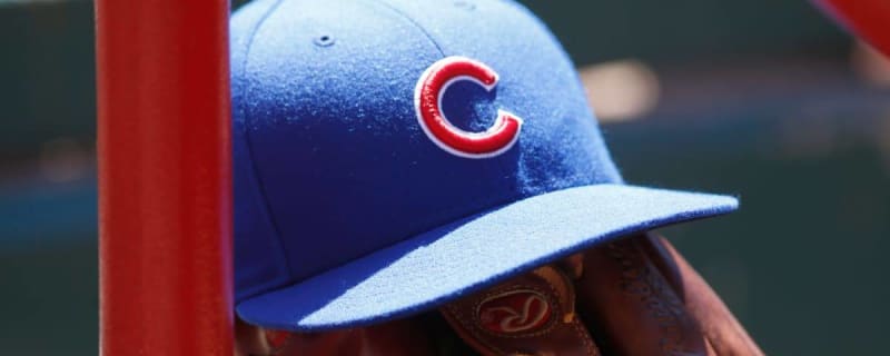 Help The South Bend Cubs Name Their Mascot - Bleed Cubbie Blue