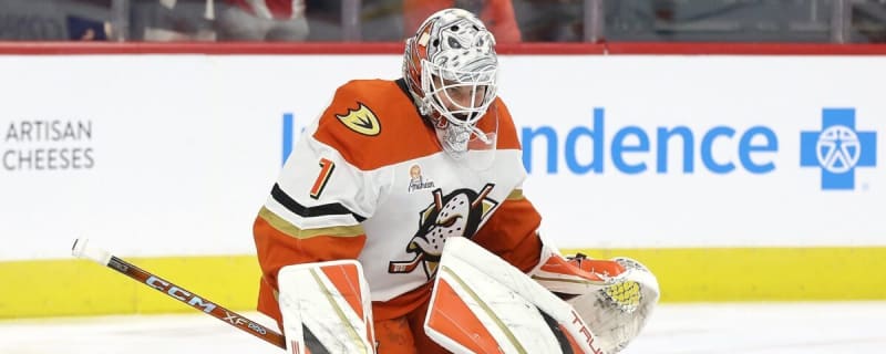 Ducks’ Dostal Contract Not a Contract Comparable to Stuart Skinner