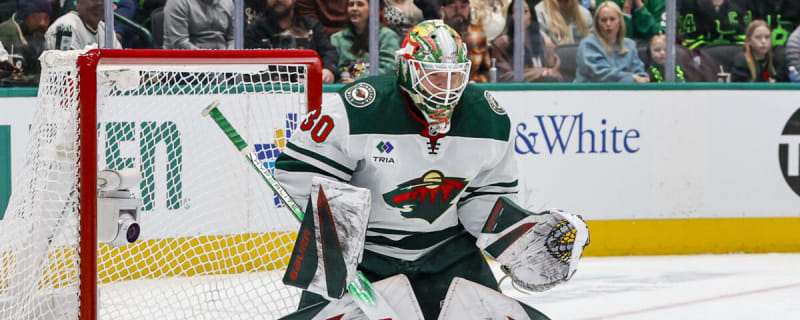 Minnesota Wild Season Preview: Goaltending