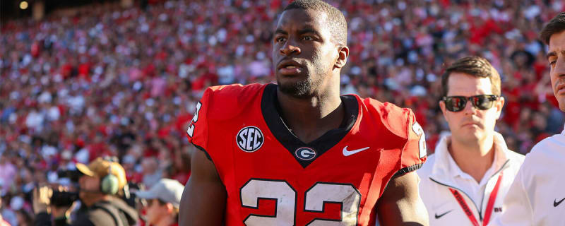 Georgia football dealt concerning Branson Robinson injury update ahead of Week 8