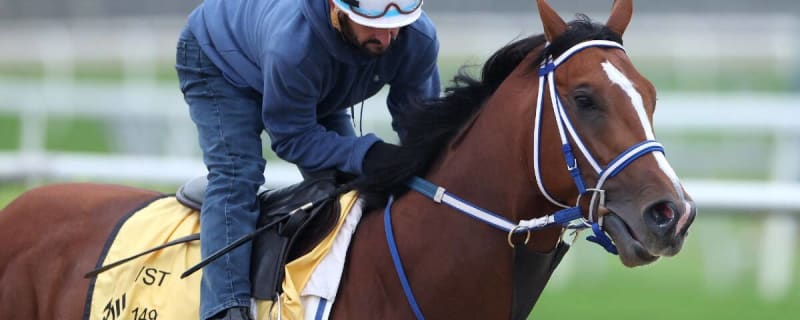 2024 Preakness Stakes odds, picks, predictions for Saturday’s Triple Crown race