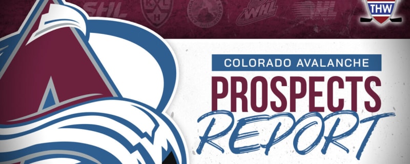 Avalanche Prospect Report: Gulyayev, Weinstein, Miner & More