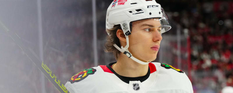 Connor Bedard Makes &#39;Boring&#39; Admission About Kings After Blackhawks Loss