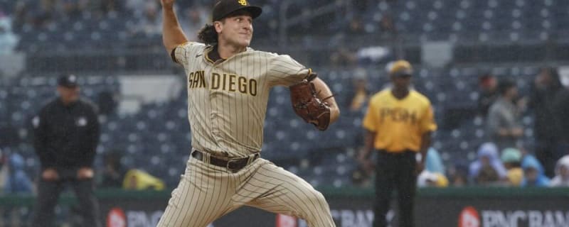 Padres roster review: Reiss Knehr - The San Diego Union-Tribune