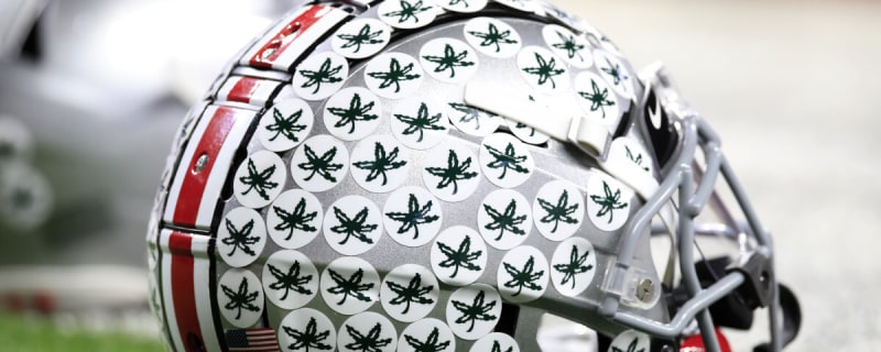 Former Ohio State Player, NFL Starter Cut On Thursday