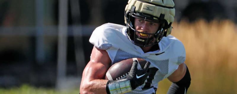 No. 1 Ranked Safety in Transfer Portal Announces Commitment