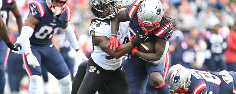 Report: Seahawks Hiring Former NFL LB Josh Bynes as Defensive Assistant