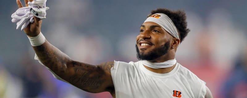 Bengals veteran to cut his teeth at coaching during SEC program&#39;s spring football game