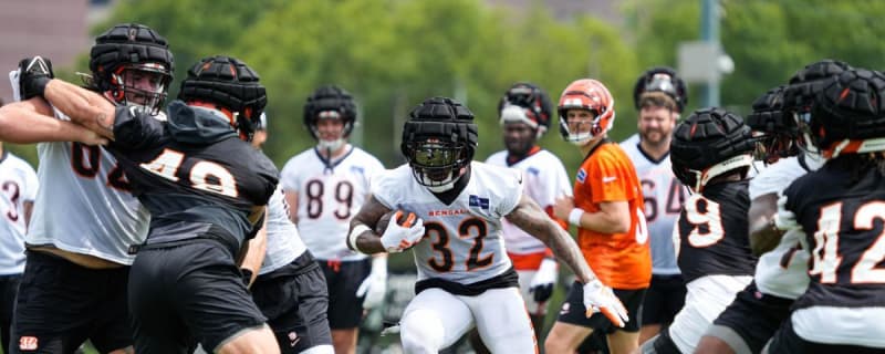 Bengals Roster Breakdown: Trayveon Williams is the new veteran of Cincinnati&#39;s running back room