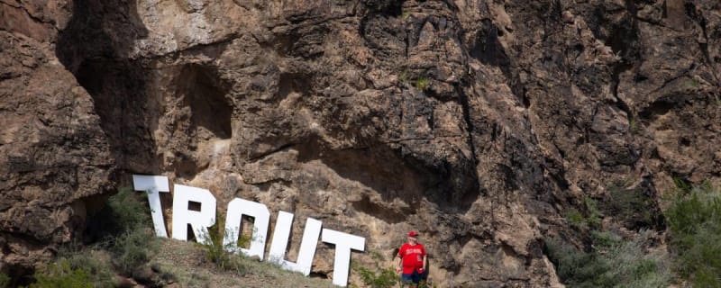 Angels Postgame: Signs Point to a Victory Over Milwaukee Brewers