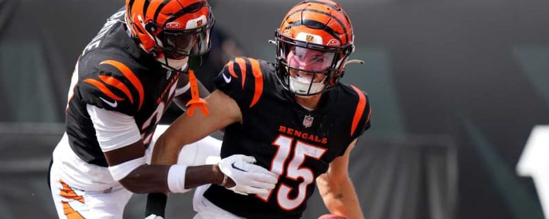 Bengals fan trolls NFL with mock coin-flip before announcing draft pick