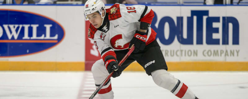 Maple Leafs Fill Nikita Grebenkin’s Spot with Borya Valis