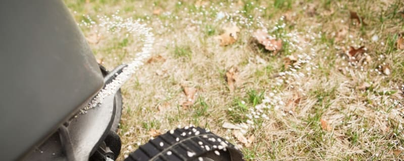 Why You Should Fertilize Your Lawn in November