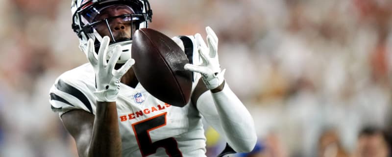 Bengals Insider: Tee Higgins Long-Term Contract 'Seems to Be