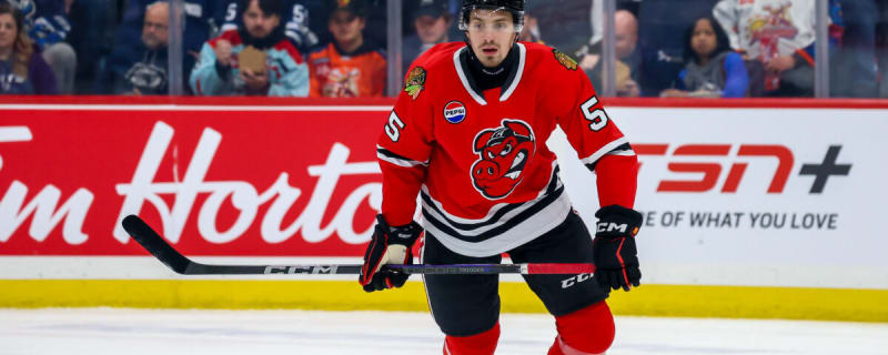 Artyom Levshunov’s Positivity Bodes Well for Blackhawks’ Future Success