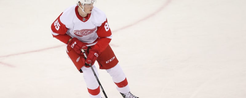 Detroit Red Wings Sign Elmer Soderblom to 2-Year Deal