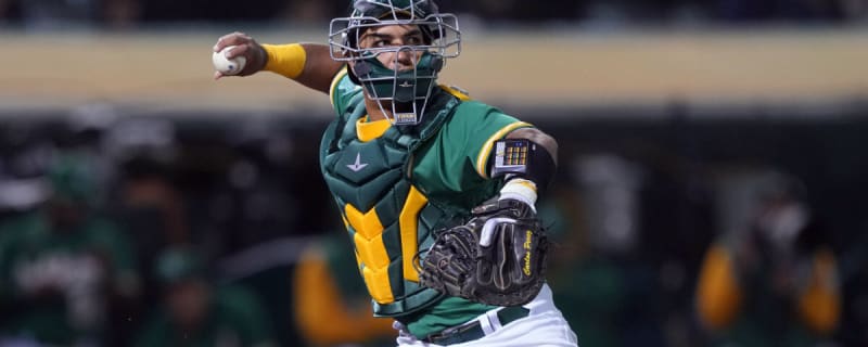 Cubs Add Veteran Catcher on Minor-League Deal