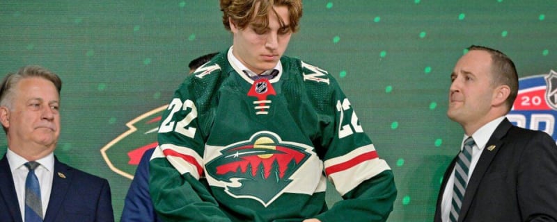 Liam Ohgren to make NHL debut for Minnesota Wild on Friday 