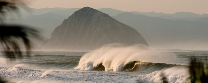 Stacy Peralta: Keep Your Surf Spot to Yourself