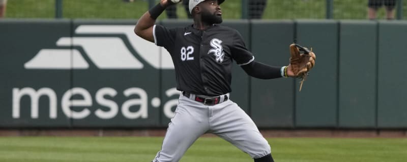 White Sox Recall Bryan Ramos from Birmingham with Danny Mendick Injured