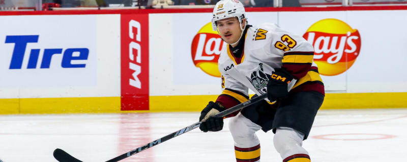 Hurricanes Prospects Robidas & Krutov Taking Big Strides