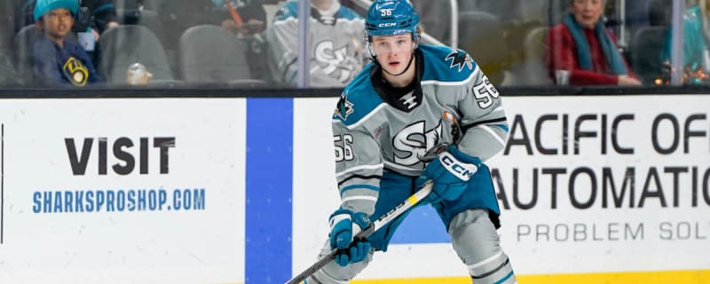 Get to Know San Jose Sharks Prospect Ethan Cardwell