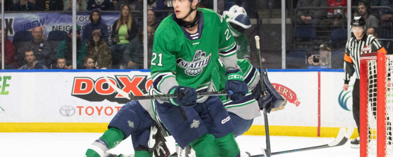 Which Sabres Offseason Acquisition Will Have the Biggest Impact?