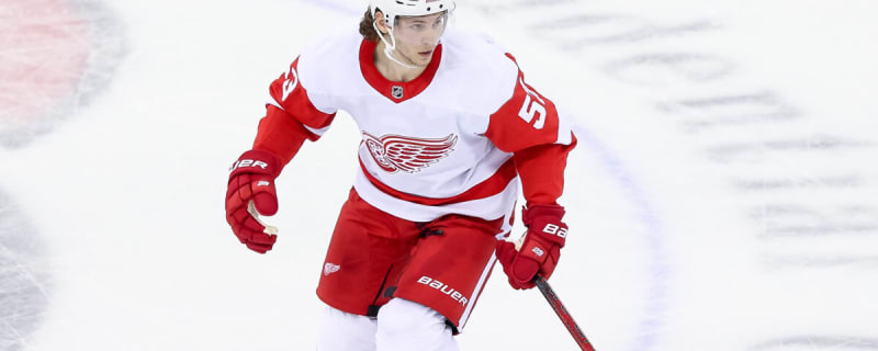 The Future of the Red Wings’ Defense Is Wide Open
