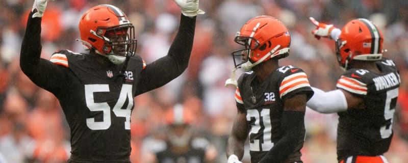 NFL offseason: What Browns free agent, draft pick or trade addition makes  biggest impact? - Dawgs By Nature