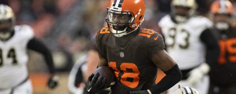 Cleveland Browns Training Camp 2018: RB Preview, Part 1 - Dawgs By Nature