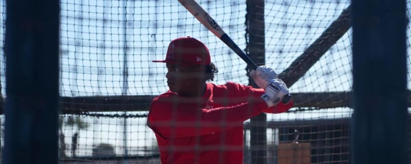 Angels Prospect Has &#39;Star-Level Upside&#39;: Report