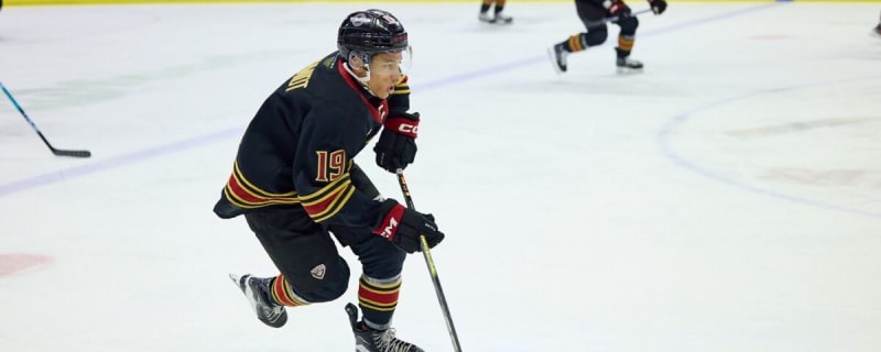 Reviewing the Dallas Stars’ 2025 Draft Class